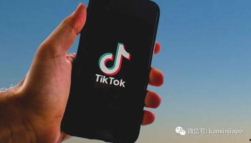 tiktok最新爆料,行业动态与未来趋势深度解析