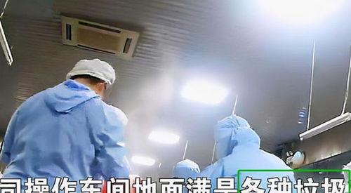 天津学生配餐爆料视频,揭露校园食品安全疑云 第3张 天津学生配餐爆料视频,揭露校园食品安全疑云 第3张